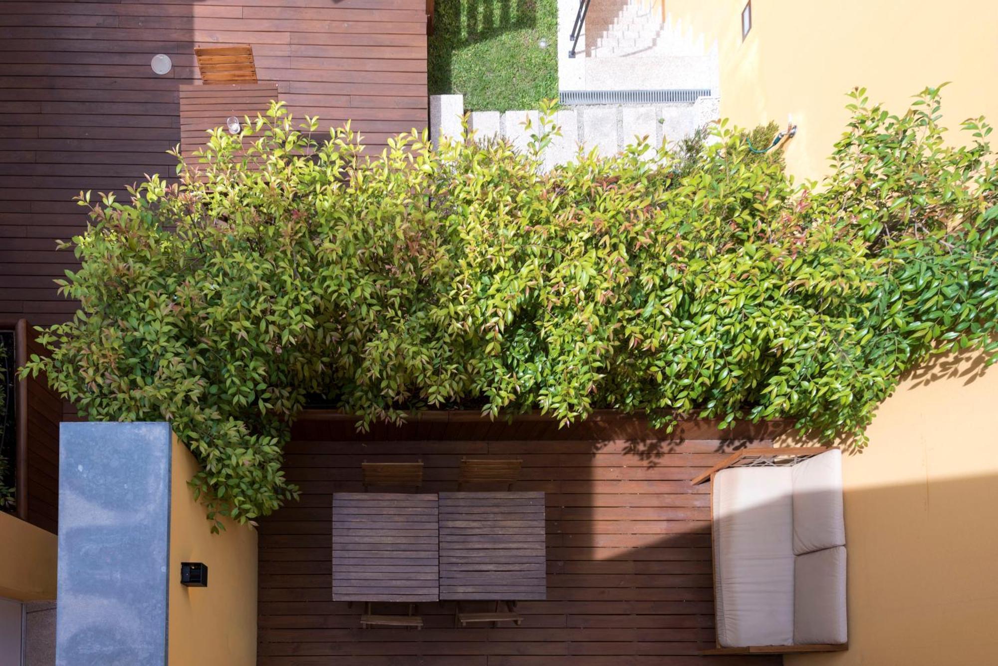 Bloom House By Sweet Porto Apartment Ruang foto